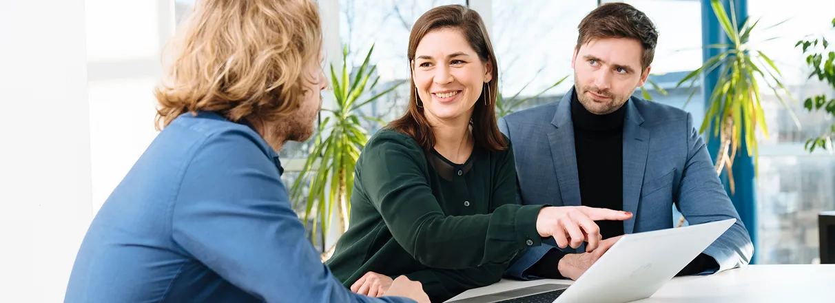 No alternative Text found