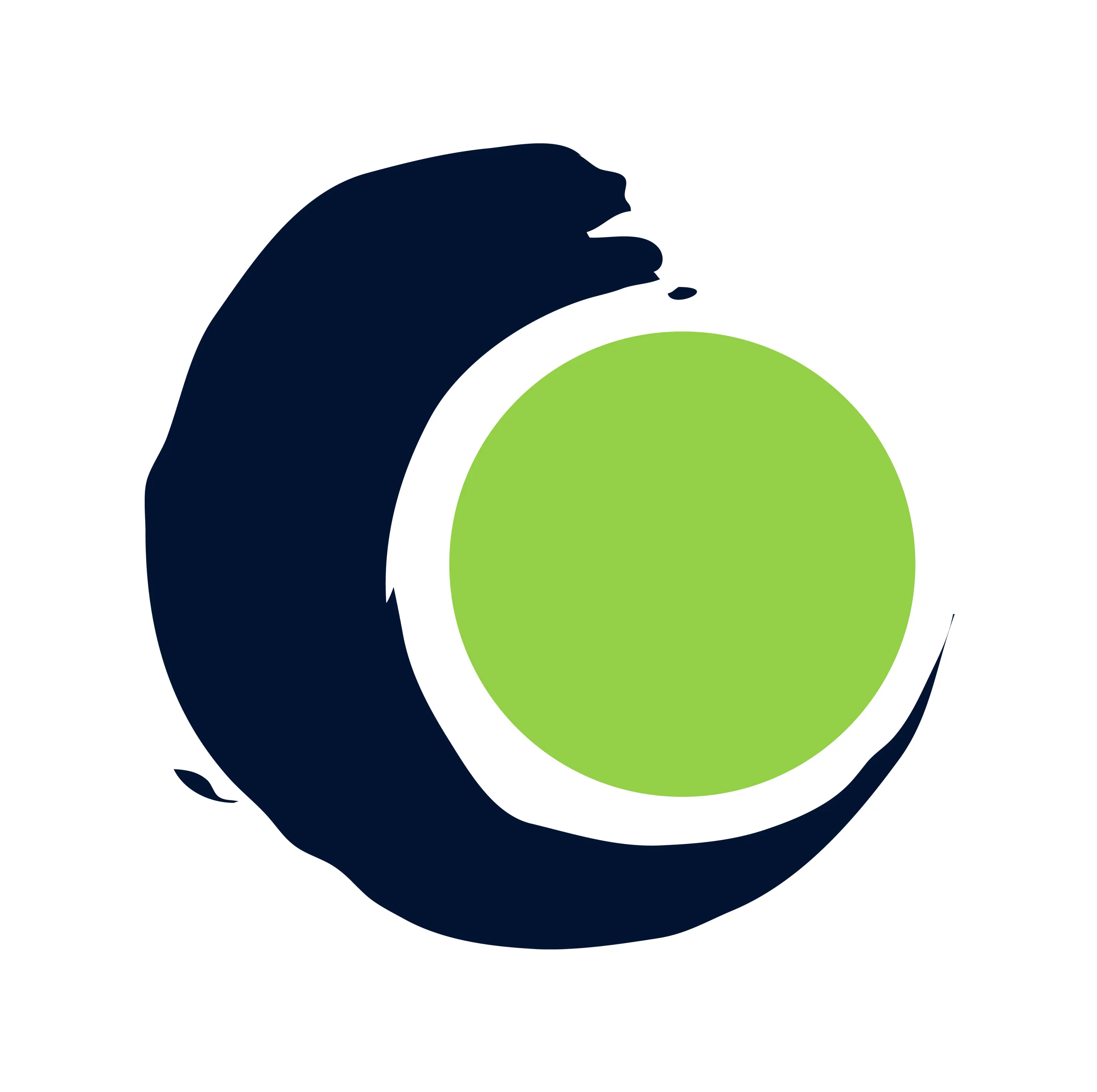 No alternative Text found