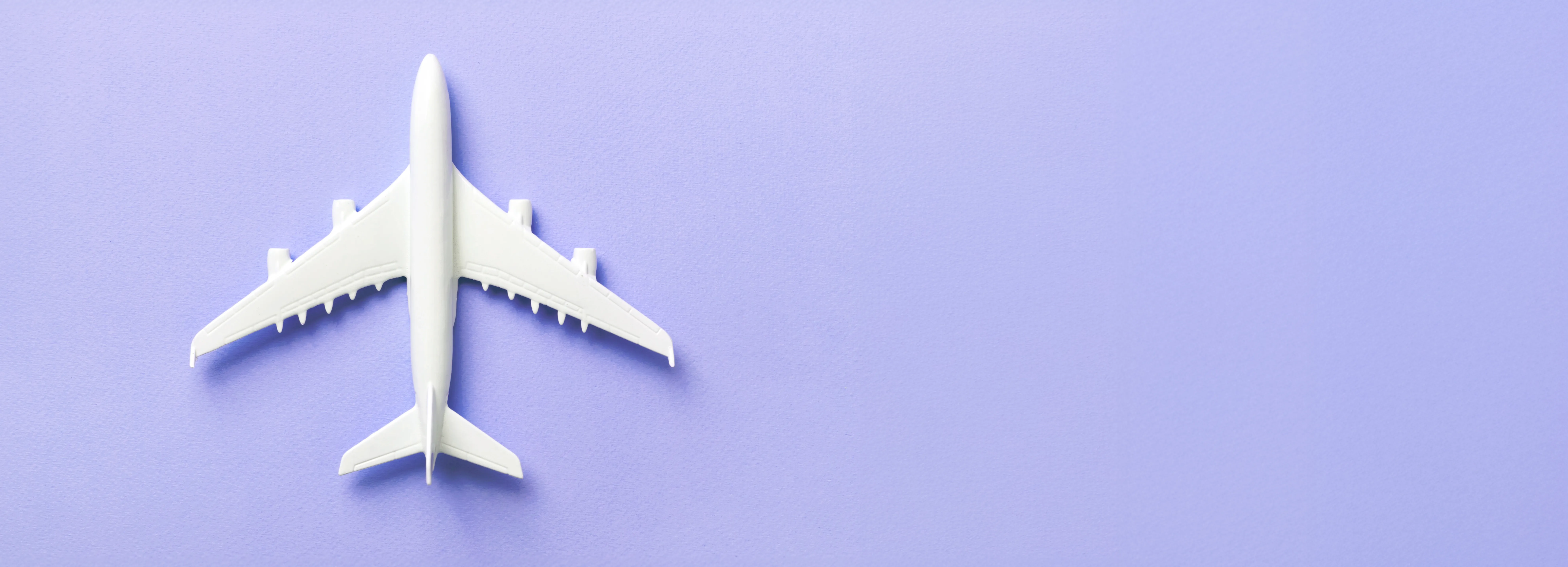 No alternative Text found